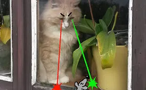 Doodle Your Pets To Take Them On New Adventures