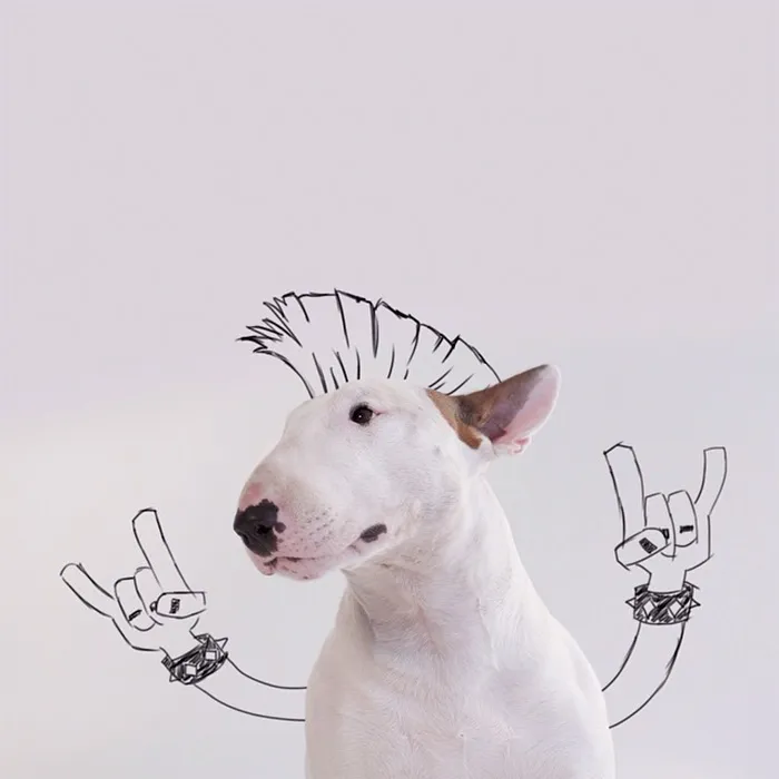 Punks Not Dead