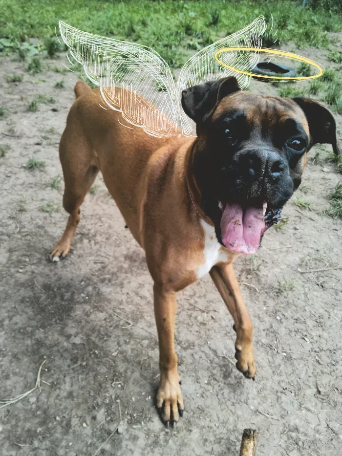 Her Name Is Doda And She Is A Real Life Angel :)