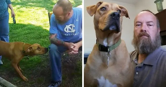 After This Man Lost 50 Pounds, His Dog Didn't Recognize Him