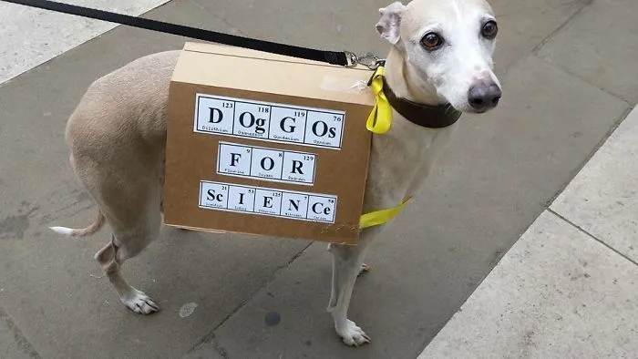 Perros por la ciencia