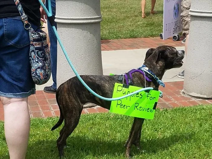 52 Dogs Who Marched For Science, And Totally Saved The World