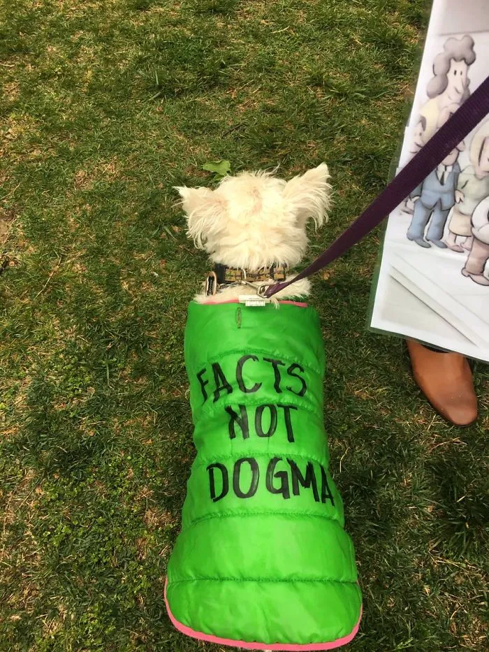 52 Dogs Who Marched For Science, And Totally Saved The World