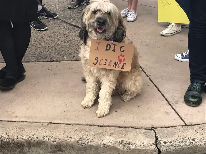 52 Dogs Who Marched For Science, And Totally Saved The World