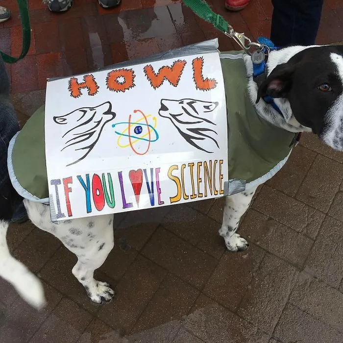 52 Dogs Who Marched For Science, And Totally Saved The World
