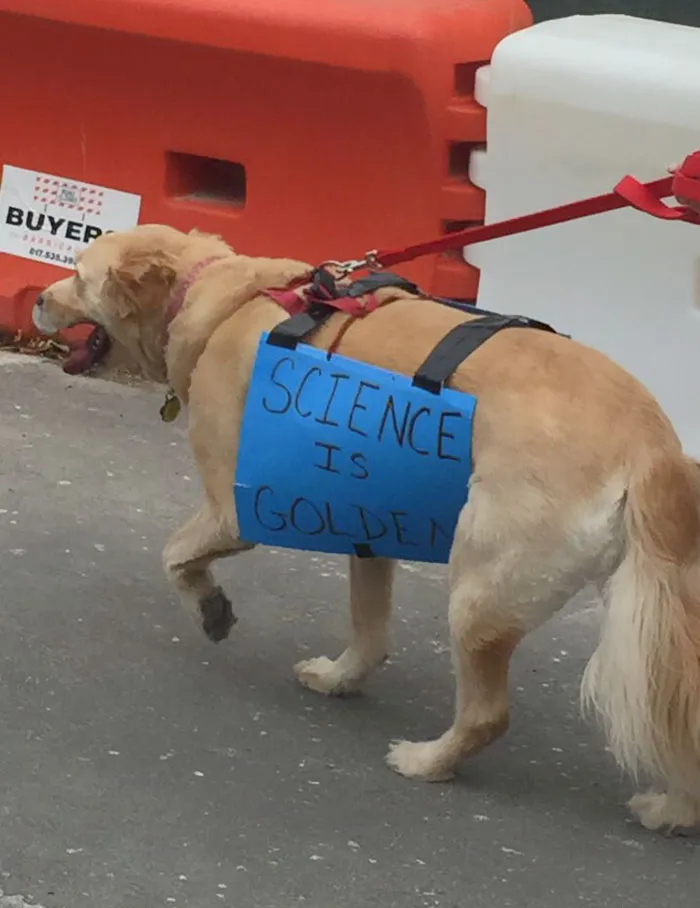 52 Dogs Who Marched For Science, And Totally Saved The World