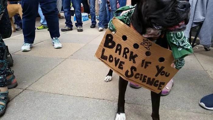 52 Dogs Who Marched For Science, And Totally Saved The World