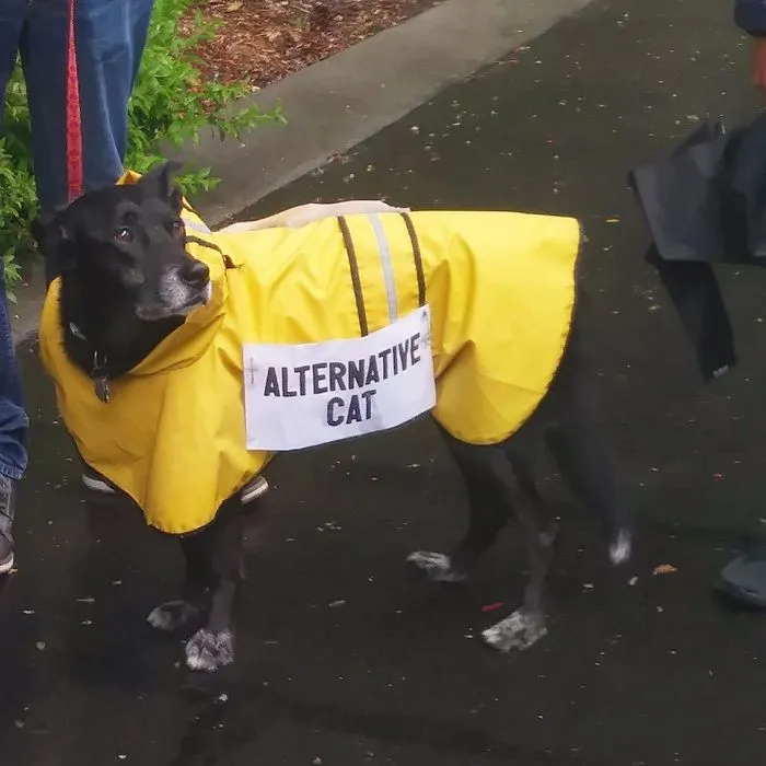 52 Dogs Who Marched For Science, And Totally Saved The World