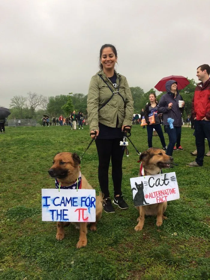 52 Dogs Who Marched For Science, And Totally Saved The World