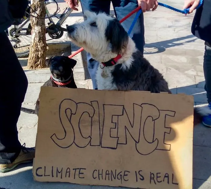 52 Dogs Who Marched For Science, And Totally Saved The World