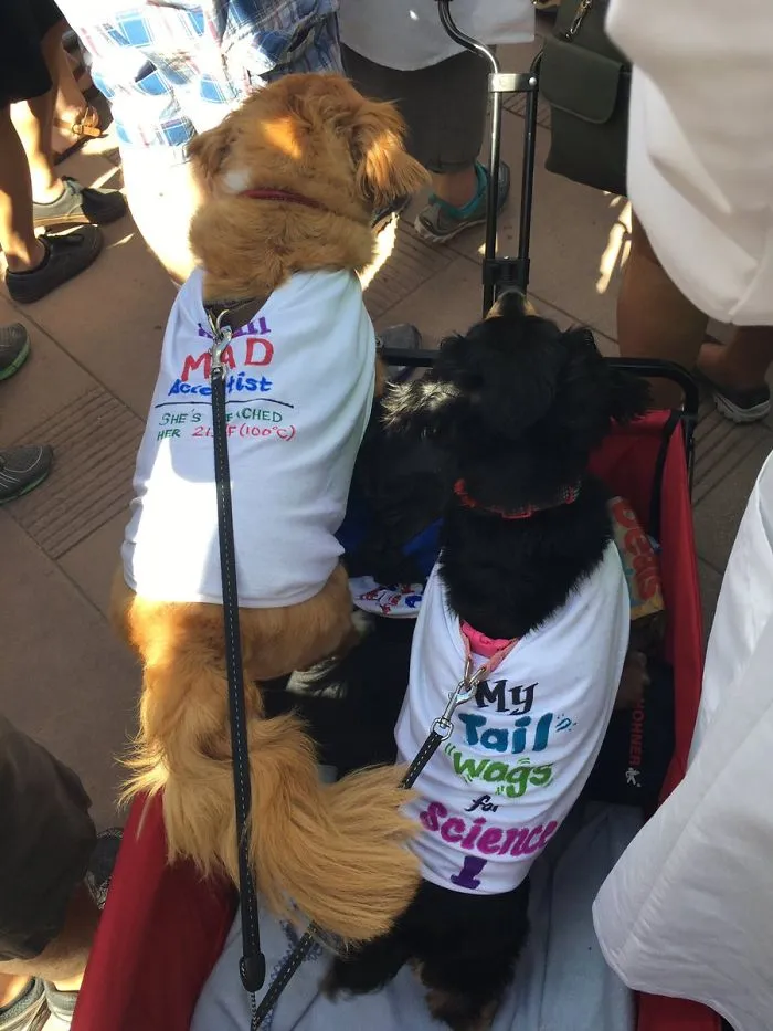 52 Dogs Who Marched For Science, And Totally Saved The World
