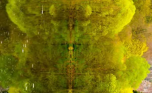 Illusion-Rotate For Original Image