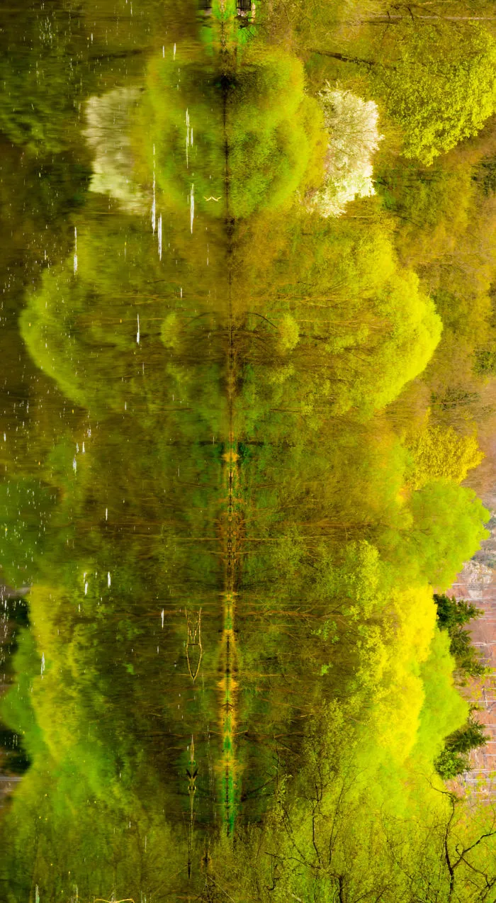 Illusion-Rotate For Original Image