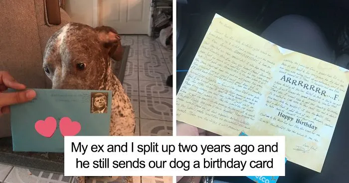 This Woman's Ex Still Sends Their A Dog Birthday Present Every Year, And The Internet Wants Them Back Together