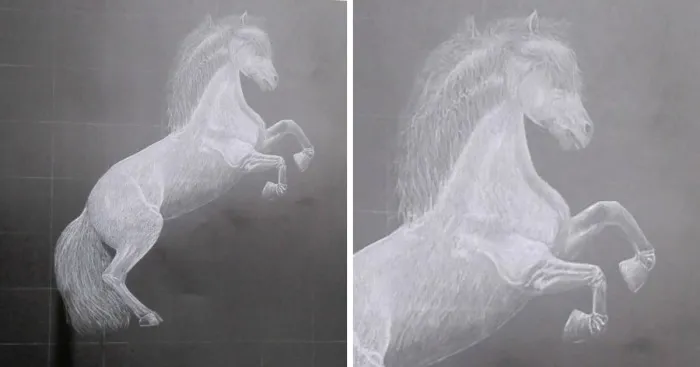 Rearing Mustang, White Charcoal Pencil Sketch