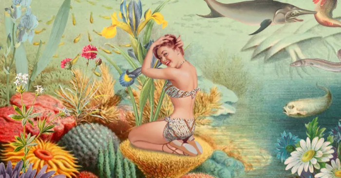 A Series Of Vintage Collages Inspired By Nature And Other Worlds