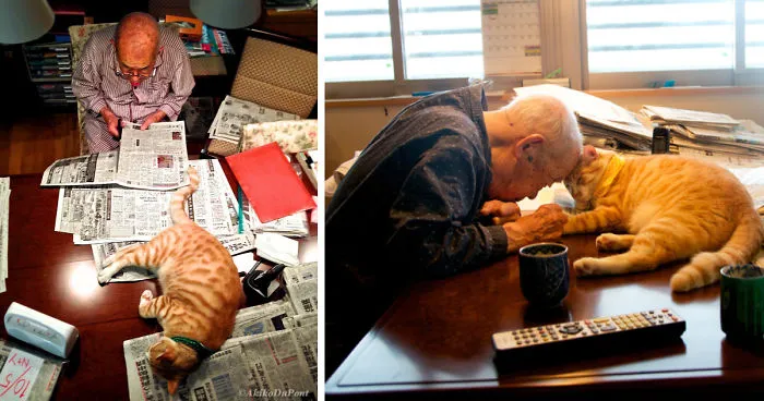 Le traje un gato a mi abuelo enfermo y gruñón, y le ha cambiado la vida