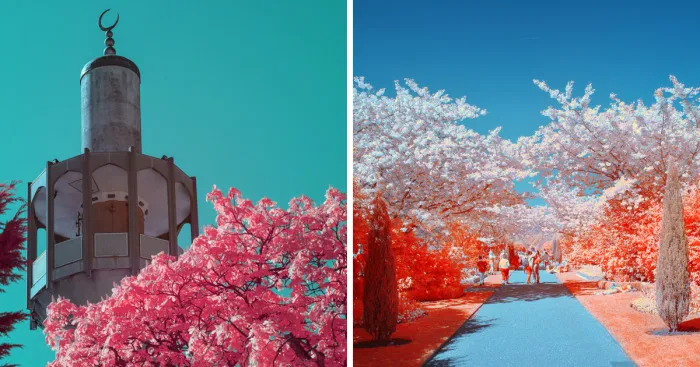 I Captured The Arrival Of Spring On London In  Ultracolour