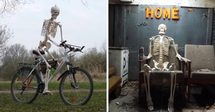 I Gave New Life For A Skeleton
