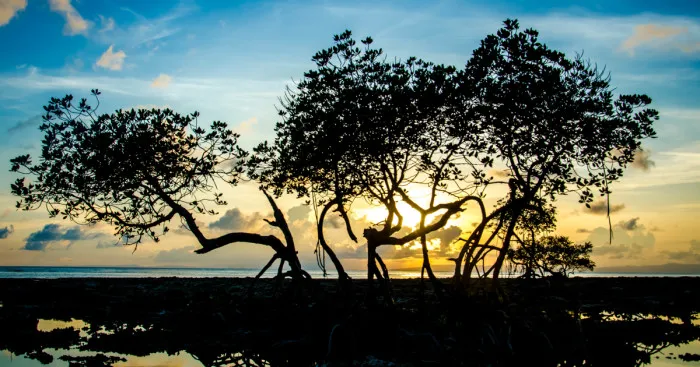 I Photographed The Beauty Of Andaman Islands