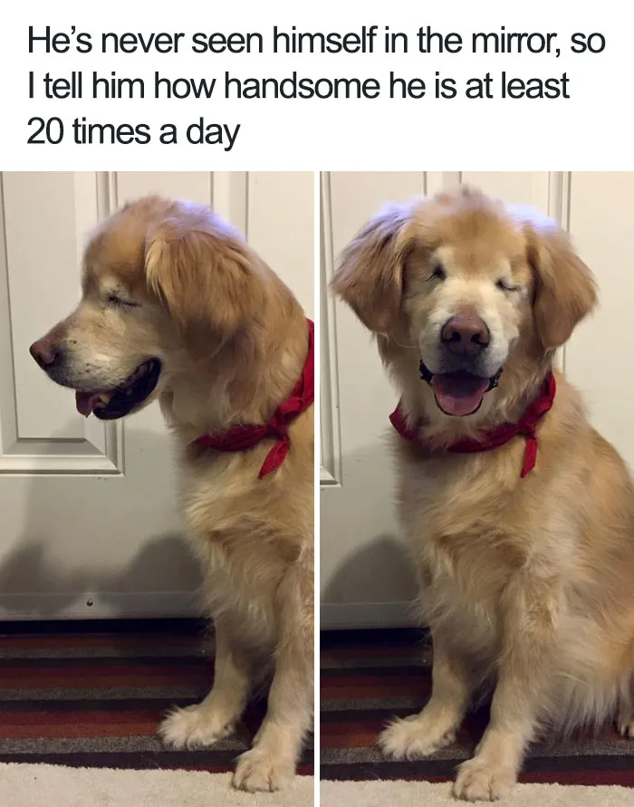 The Handsomest Boy
