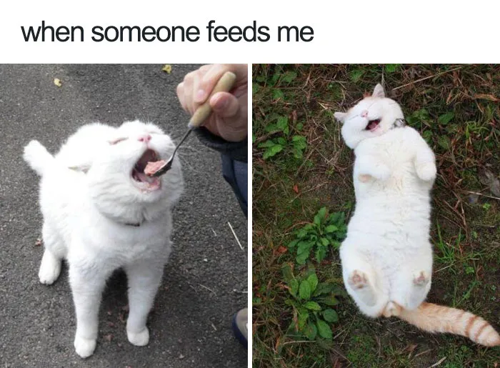 Ultimate Joy