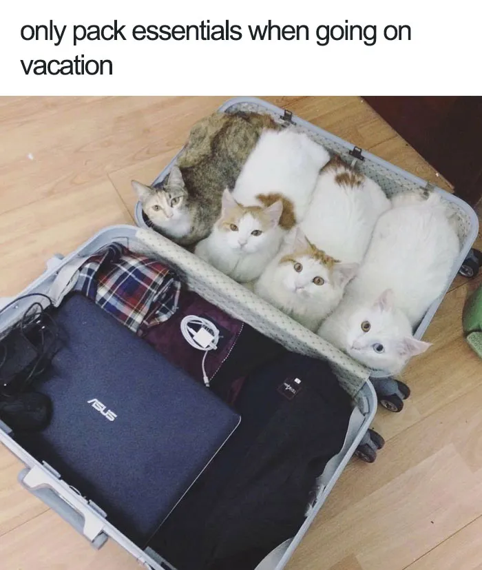 The Most Important Things
