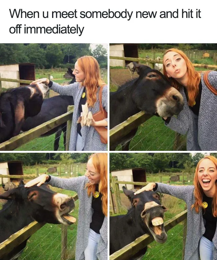 Cutest Friends