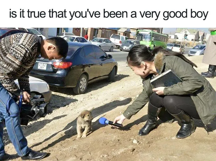 Wholesome Meme