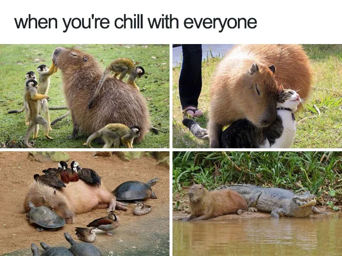 Everyone's Best Friend