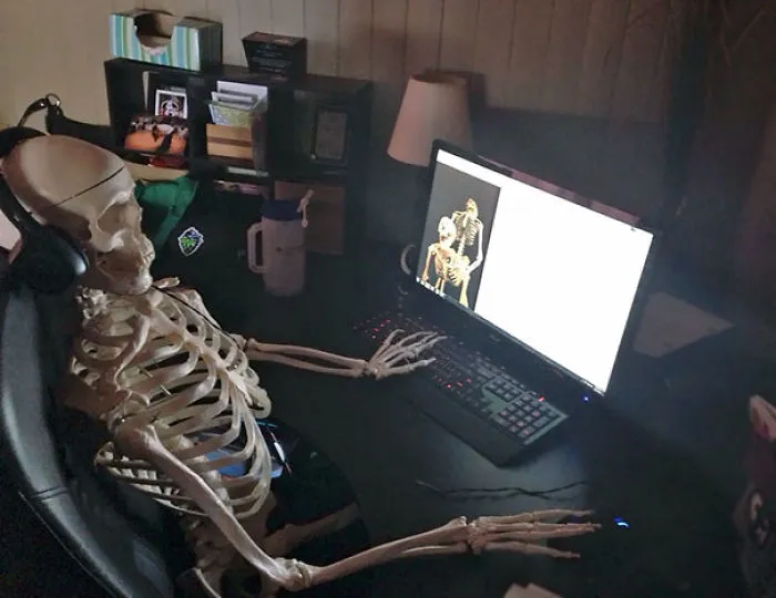My Wife Brought Home A Life Size Skeleton Replica, This Is What I Walked In On