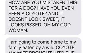 93 Hilarious Wives That All Men Secretly Wish They Were Married To