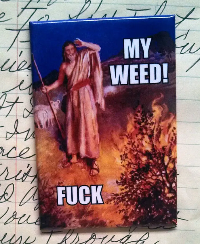 Asked My Wife To Get More Magnets For The Fridge With No Restrictions On What Kind
