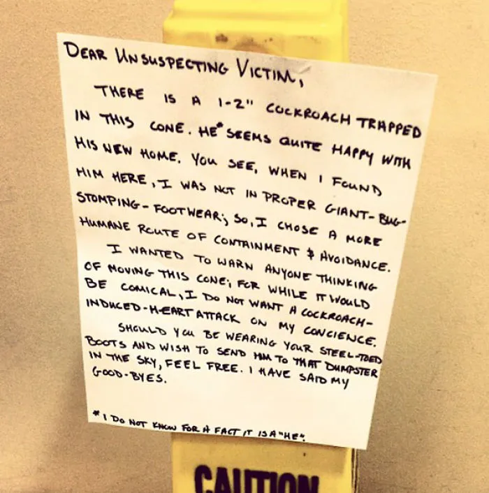 My Wife Saw A Cockroach At Work, But Didn't Have The Means To 'Dispose' Of It
