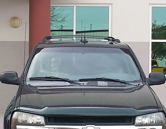 Drove With My Husband To A Job Interview. Found This In The Parking Lot. I Think He's Been Waiting Longer Than Me