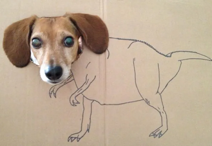 Oh The Joys Of Dogsitting