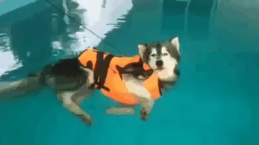 Se supone que tenía que aprender a nadar, pero flotar es suficiente