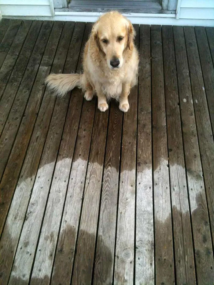 Zero Cares Were Given That Rainy Day