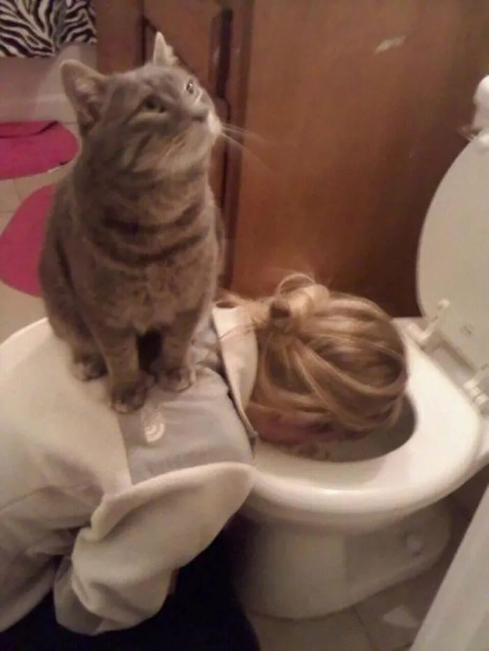 Al gato no le importan tus problemas