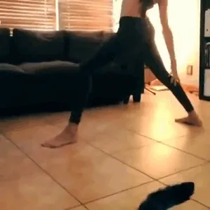50 Times Asshole Cats Hilariously Photobombed Purrfect Shots