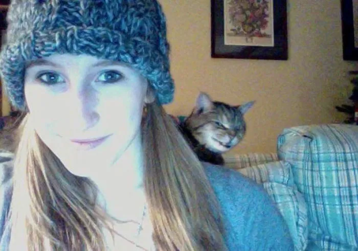 50 Times Asshole Cats Hilariously Photobombed Purrfect Shots
