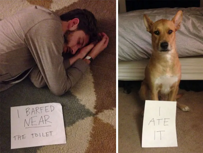 Got Blackout Drunk Last Night... My Girlfriend Helped Me Remember What Happened