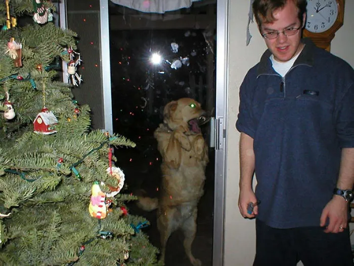 50 Times Asshole Dogs Ruined Perfect Shots