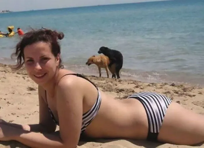 10+ Perros haciendo photobomb en fotos ajenas