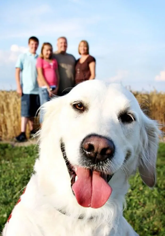 50 Times Asshole Dogs Ruined Perfect Shots