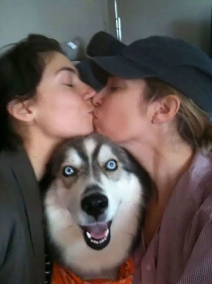10+ Perros haciendo photobomb en fotos ajenas