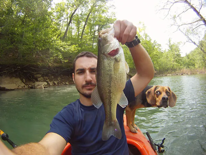 50 Times Asshole Dogs Ruined Perfect Shots