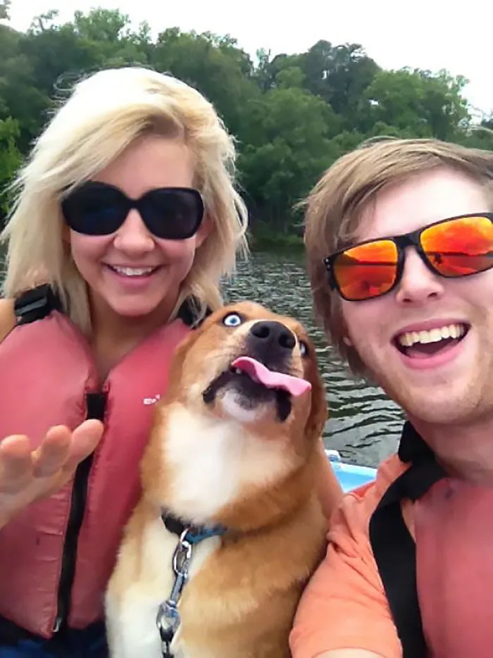 10+ Perros haciendo photobomb en fotos ajenas