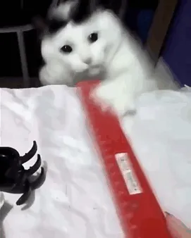 Overly Dramatic Cat
