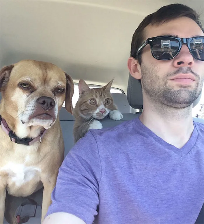 Road Trip